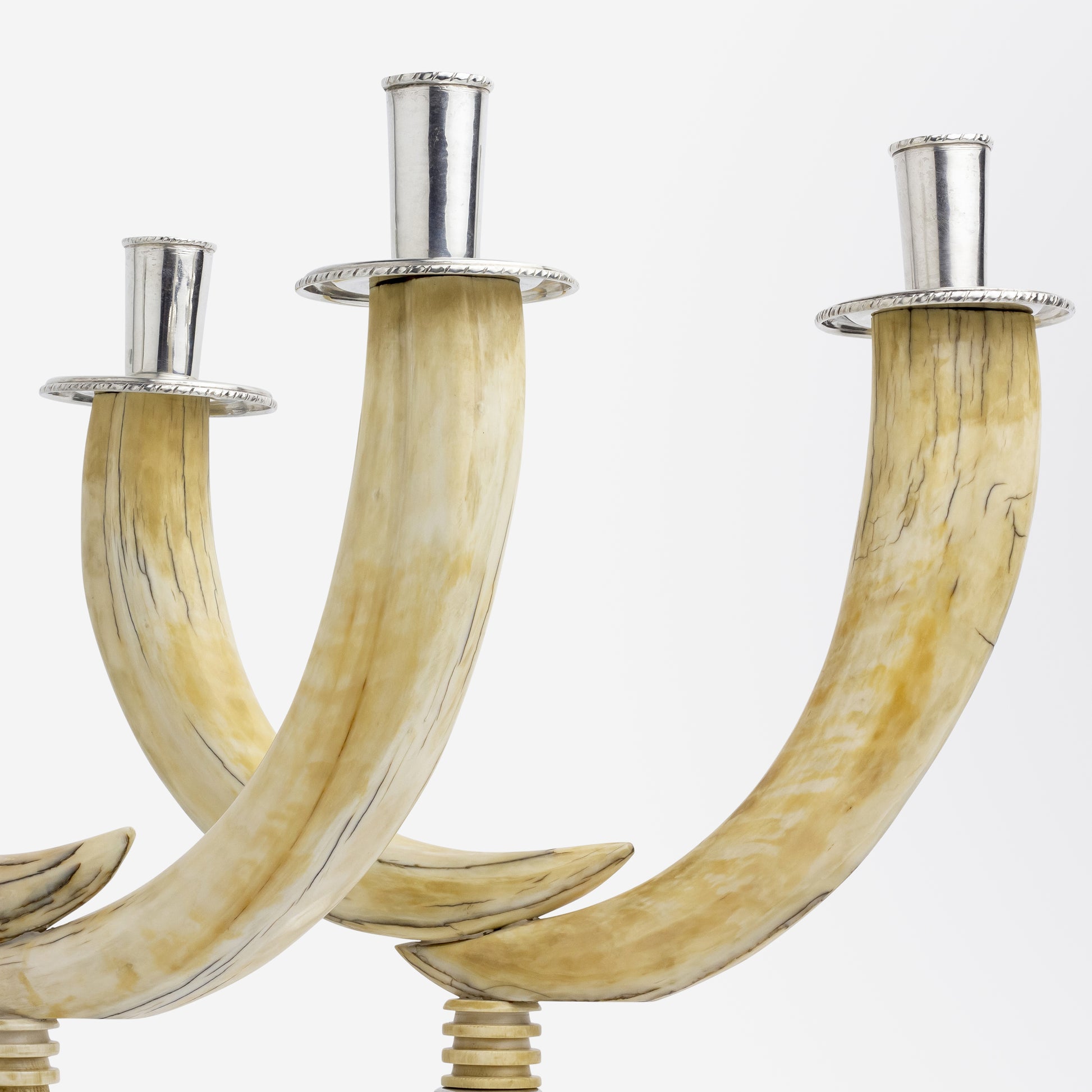 Pair of Silver Mounted Warthog Tusk Candlesticks