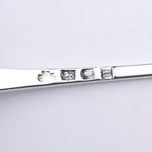 Load image into Gallery viewer, George III Sterling Silver Ladle by Thomas &amp; William Chawner
