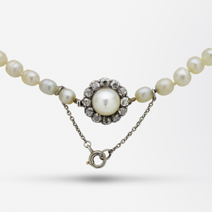 Strand of 85 Natural Pearls With 15kt Gold and Diamond Clasp