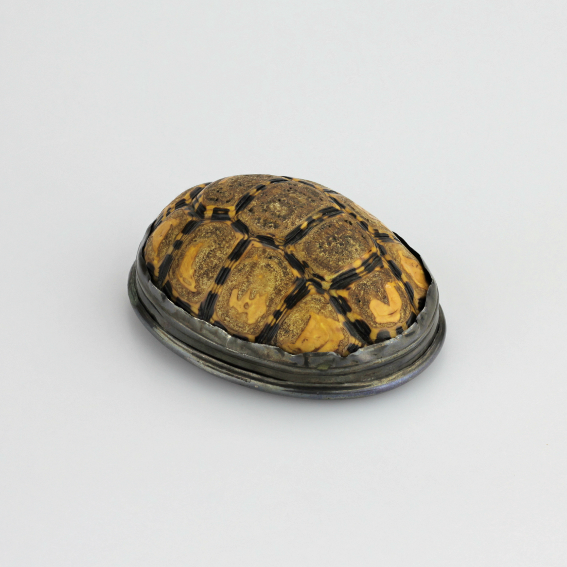 Tortoiseshell Snuff Box with Pewter Mounts - The Antique Guild
