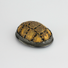 Load image into Gallery viewer, Tortoiseshell Snuff Box with Pewter Mounts - The Antique Guild
