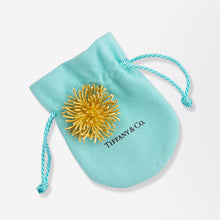 Load image into Gallery viewer, 18kt Yellow Gold &#39;Sea Urchin&#39; Brooch Pin by Tiffany &amp; Co.